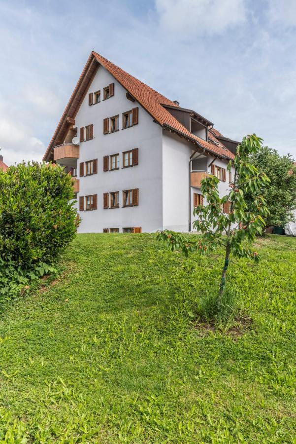 غرنزاش ويلن Rh-Appartements 15 Minuten Von Basel Im Dorf Ruehrberg المظهر الخارجي الصورة